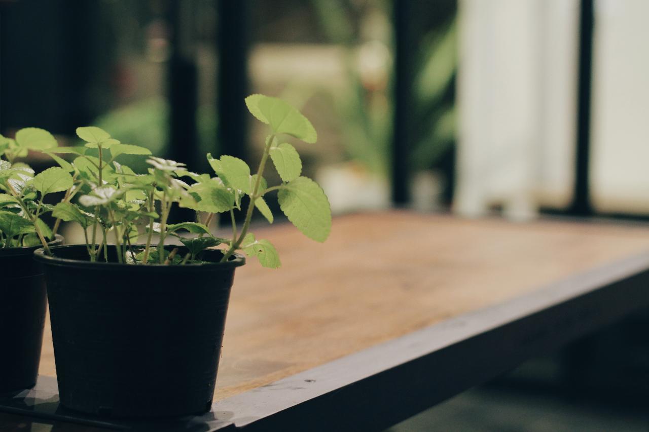 Mint Hostel Bangkok Dış mekan fotoğraf